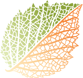 Fort Worth Botanic Garden